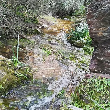 Mesa Del Lobo Perita * Alcolea Del Rio